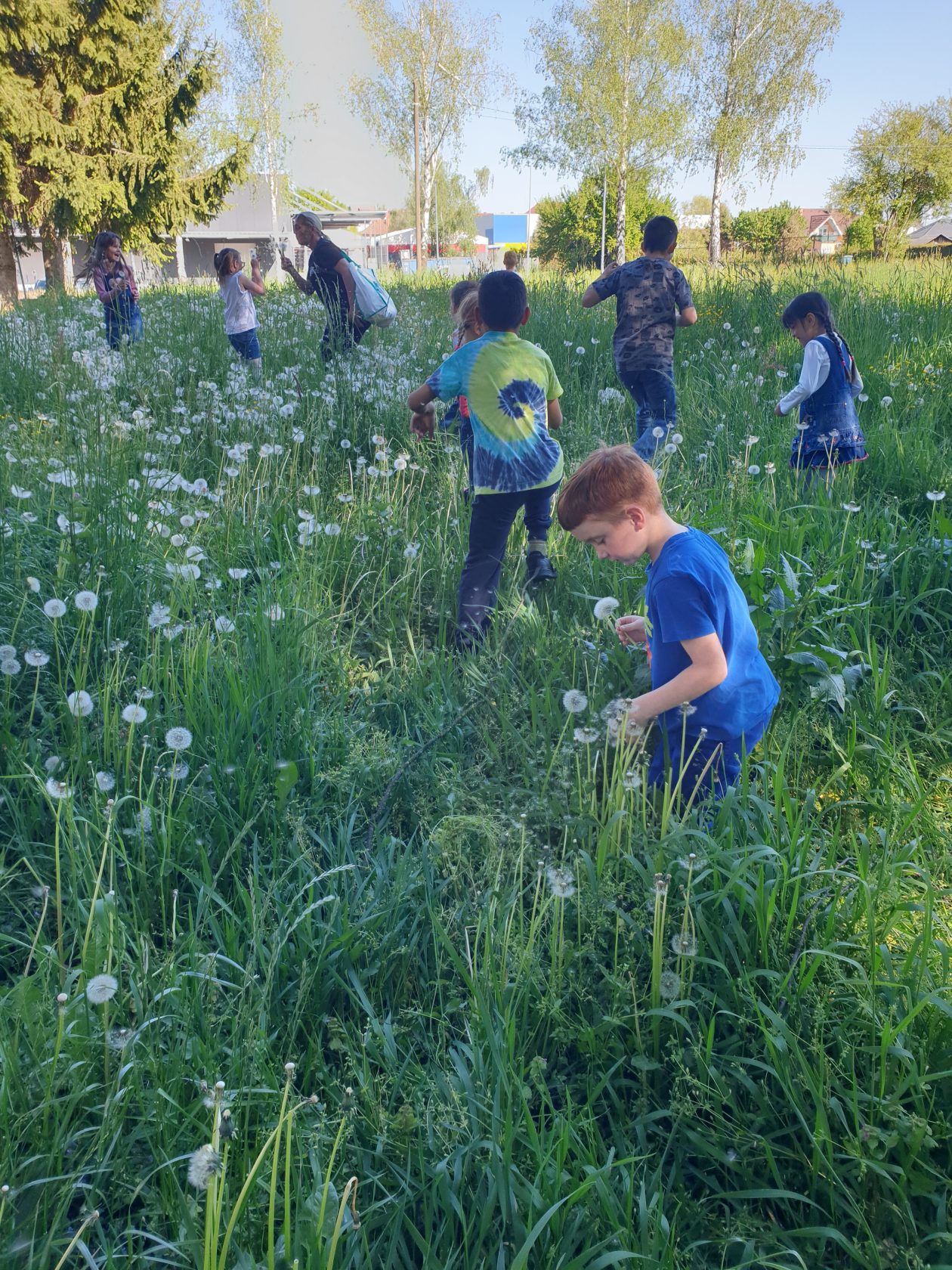 udruga udomitelja (2)
