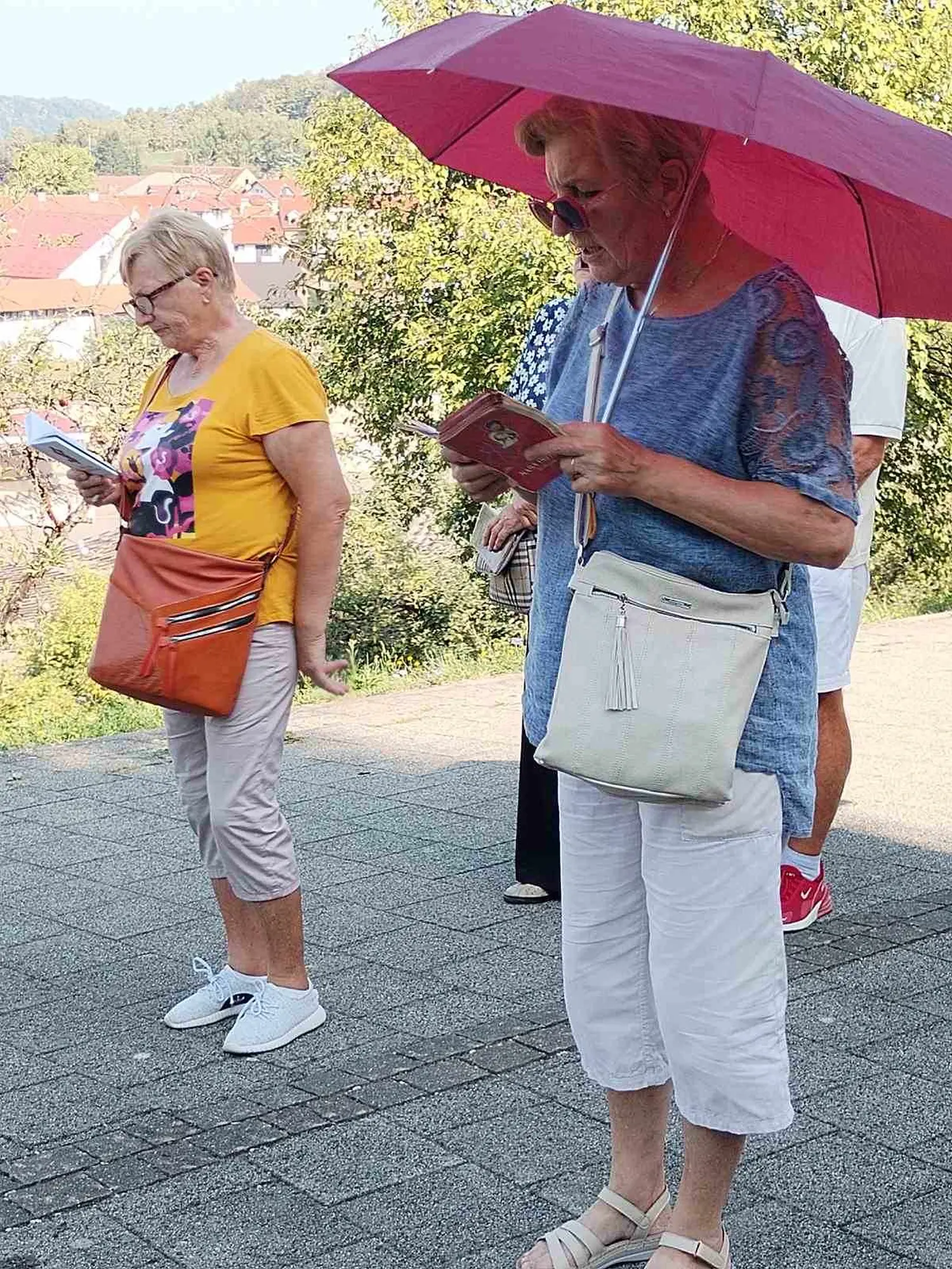 udruga umirovljenika Ivanovec (6) udruga umirovljenika Ivanovec (6)