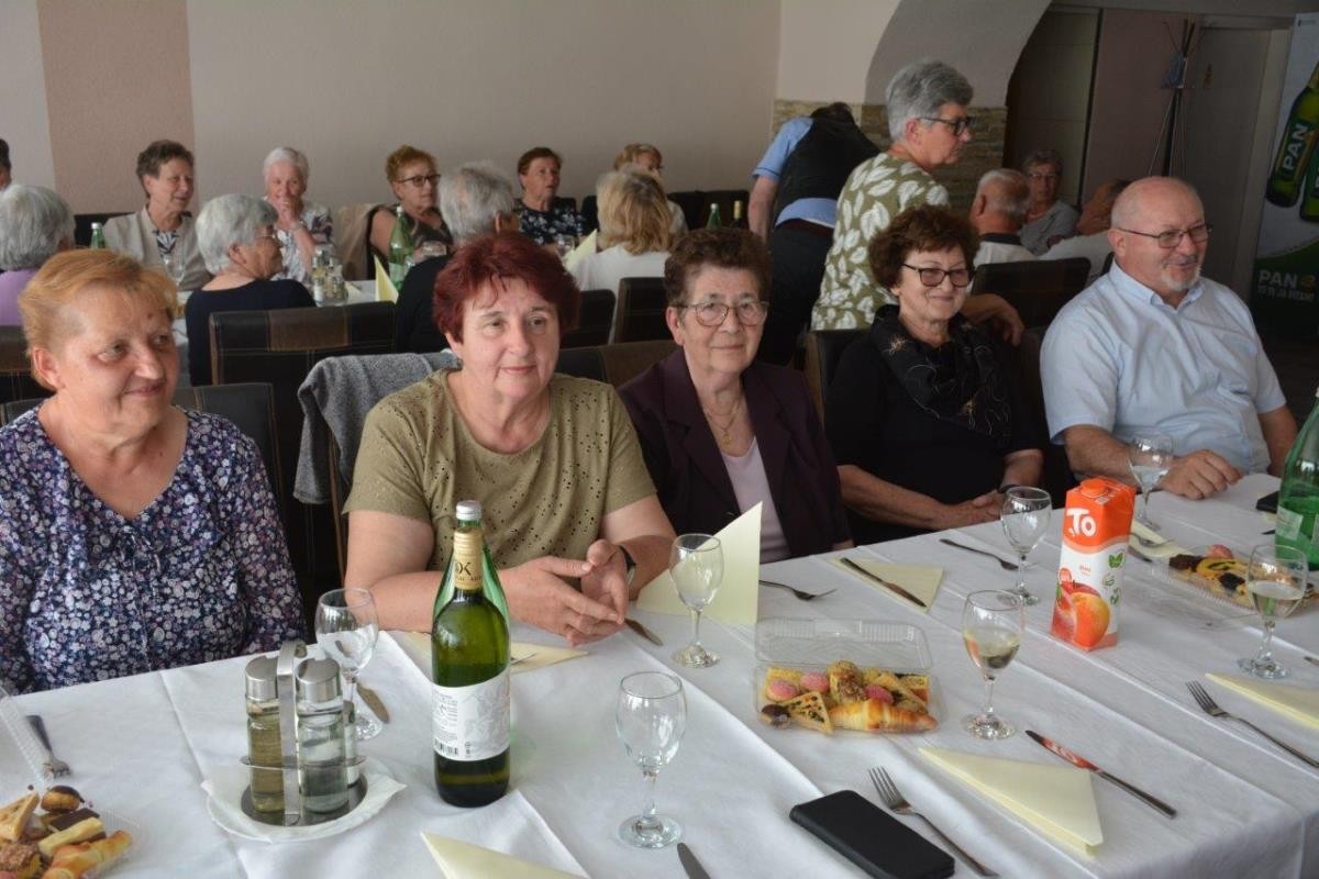 udruga umirovljenika donja dubrava (29) udruga umirovljenika donja dubrava (29)