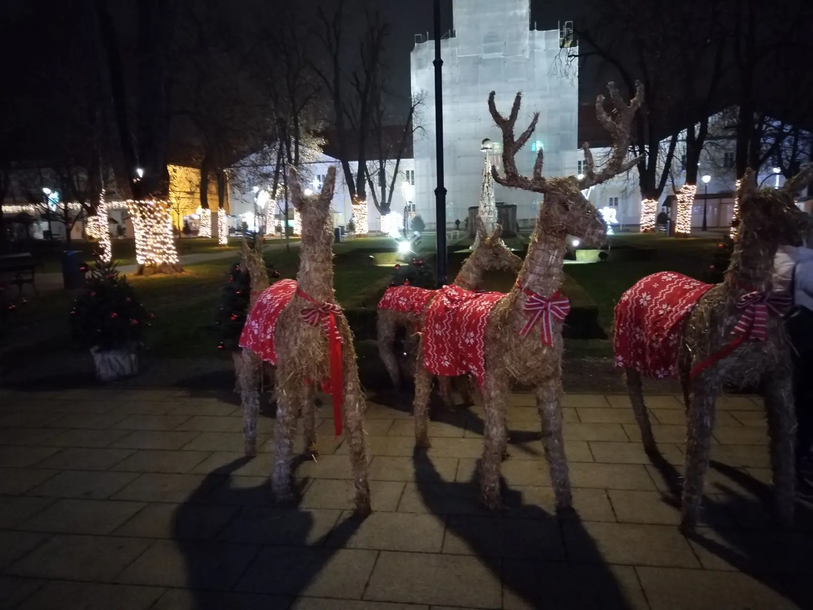 udruga umirovljenika ivanovec (12) udruga umirovljenika ivanovec (12)