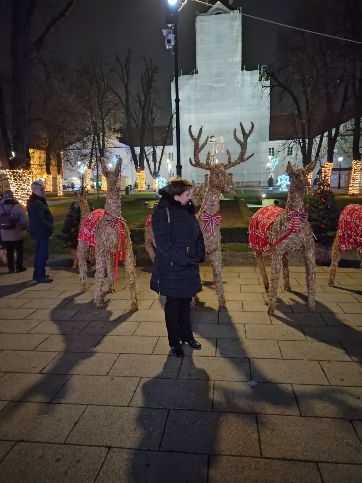 udruga umirovljenika ivanovec (22) udruga umirovljenika ivanovec (22)
