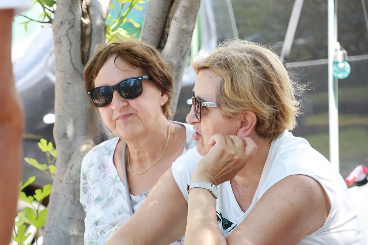 udruga umirovljenika prelog, ljetovanje (19)