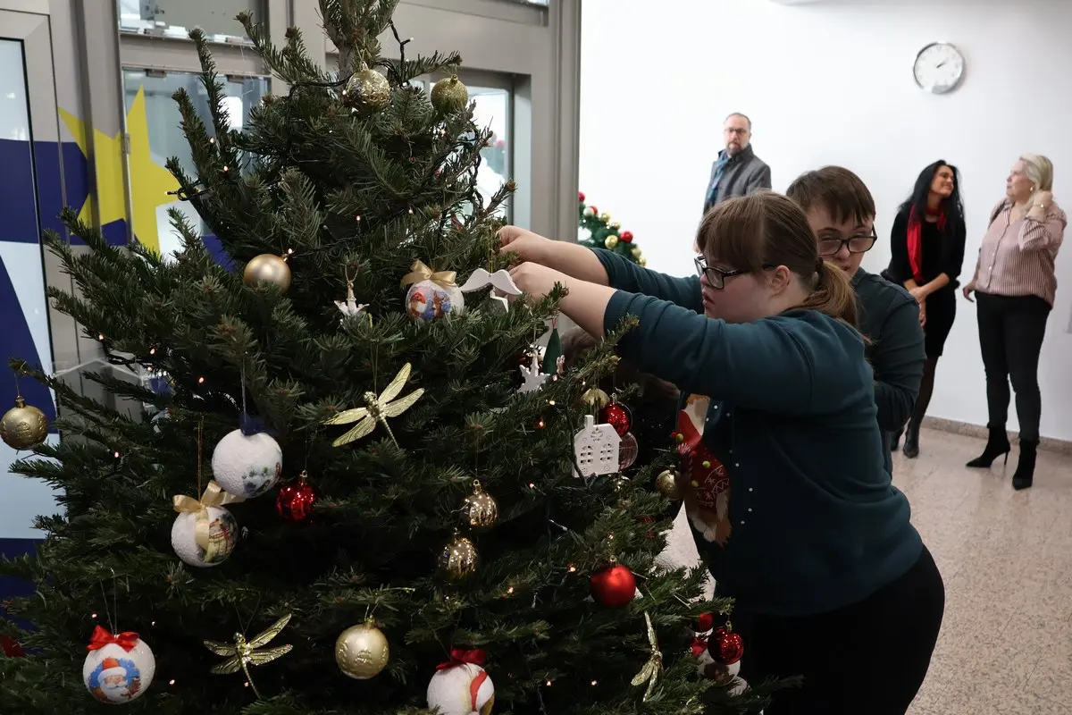 udruga za sindrom down međimurske županije, bor (1)