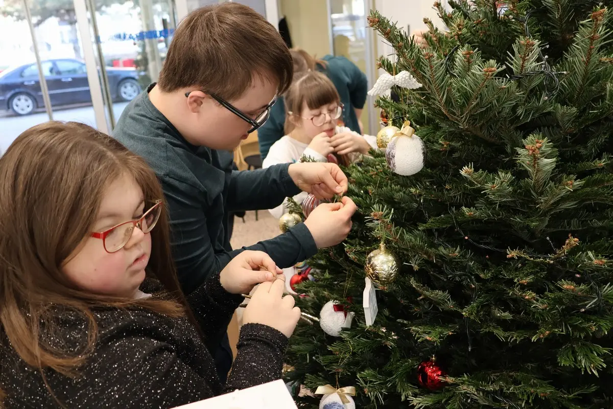 udruga za sindrom down međimurske županije, bor (5)