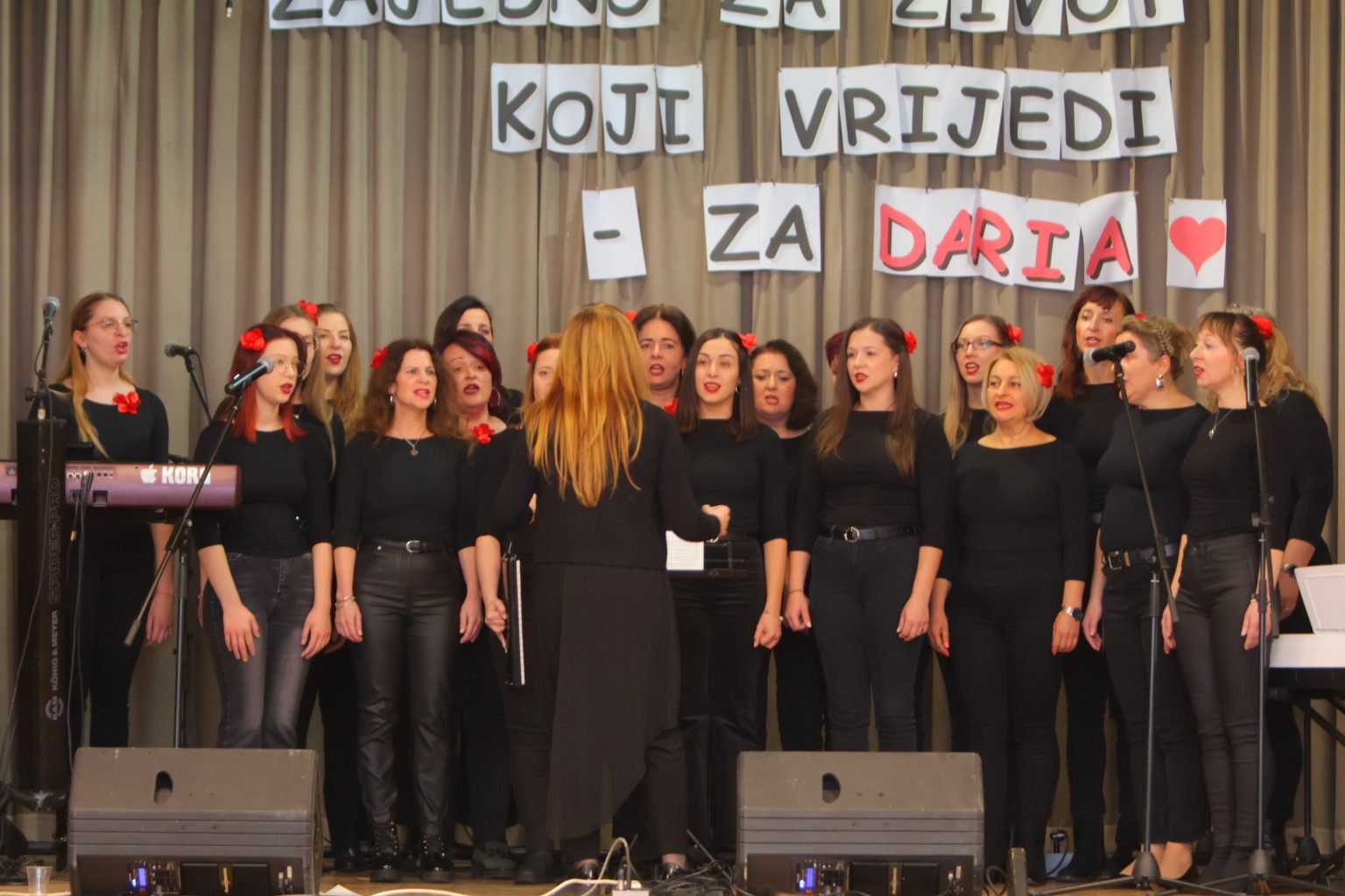 udruga zajedno za druge mačkovec humanitarni koncert (28)