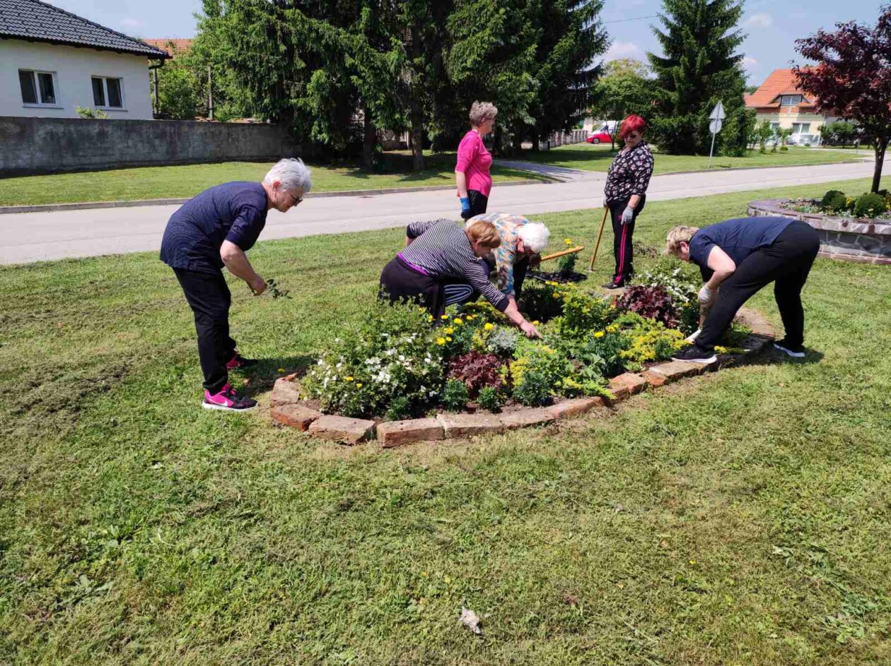 udruga žena pretetinec (2)