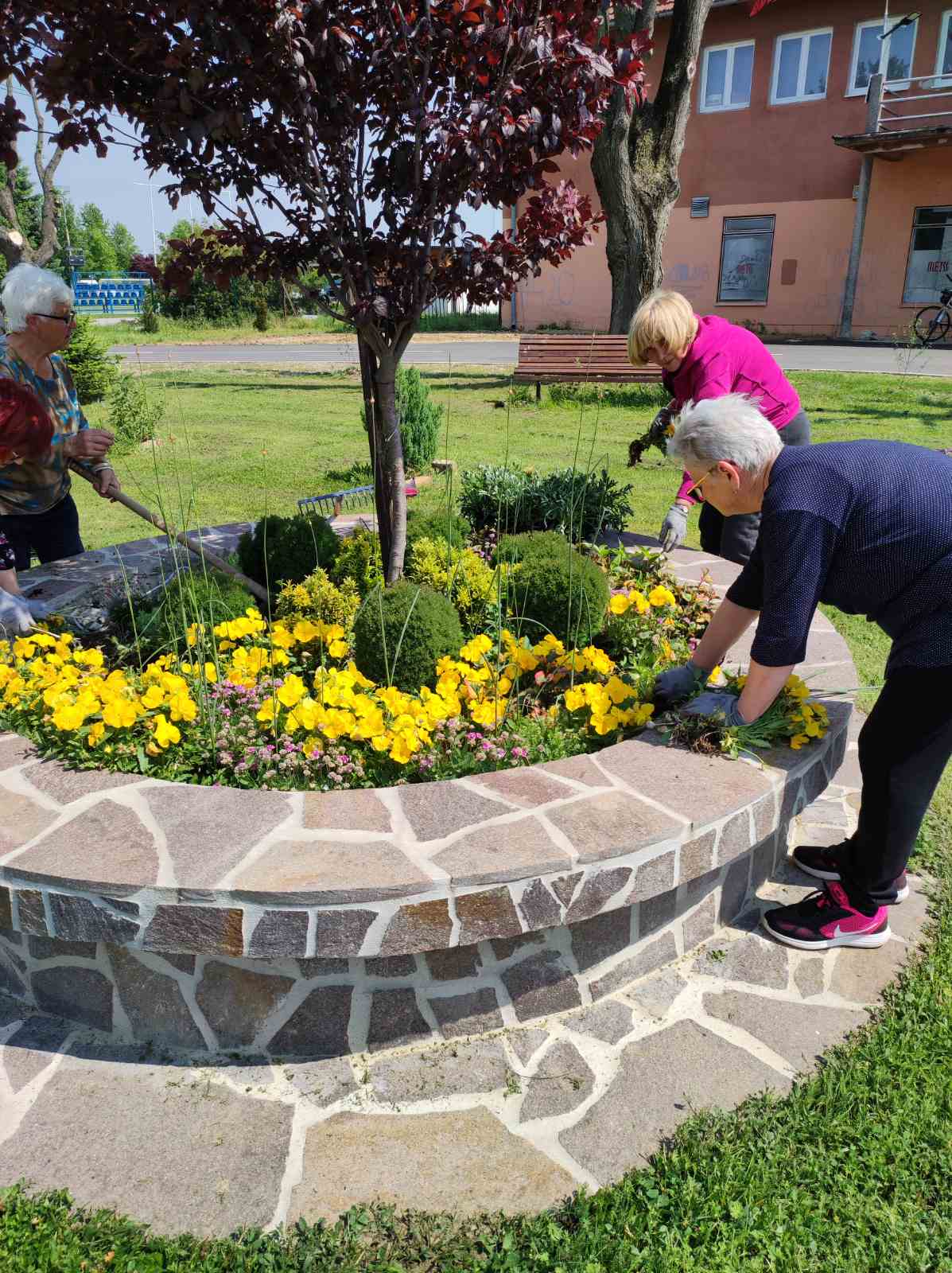 udruga žena pretetinec (7)