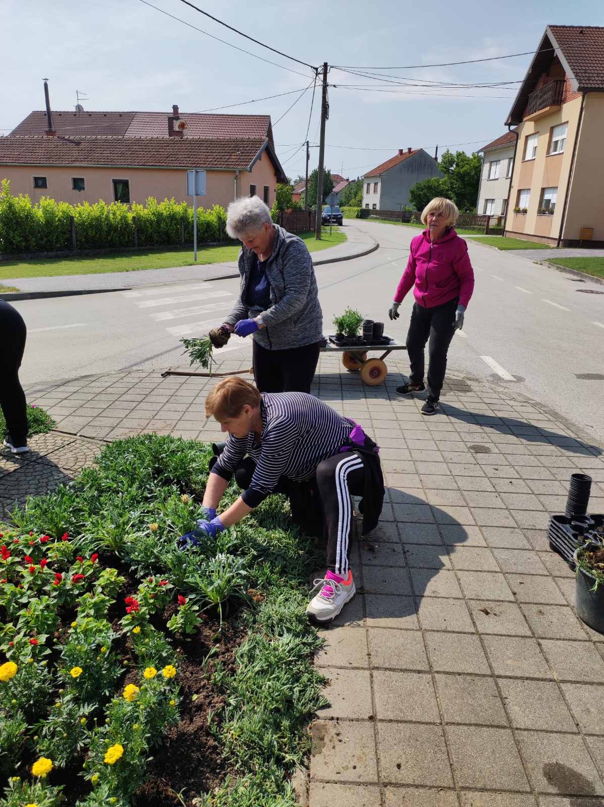 udruga žena pretetinec (9)