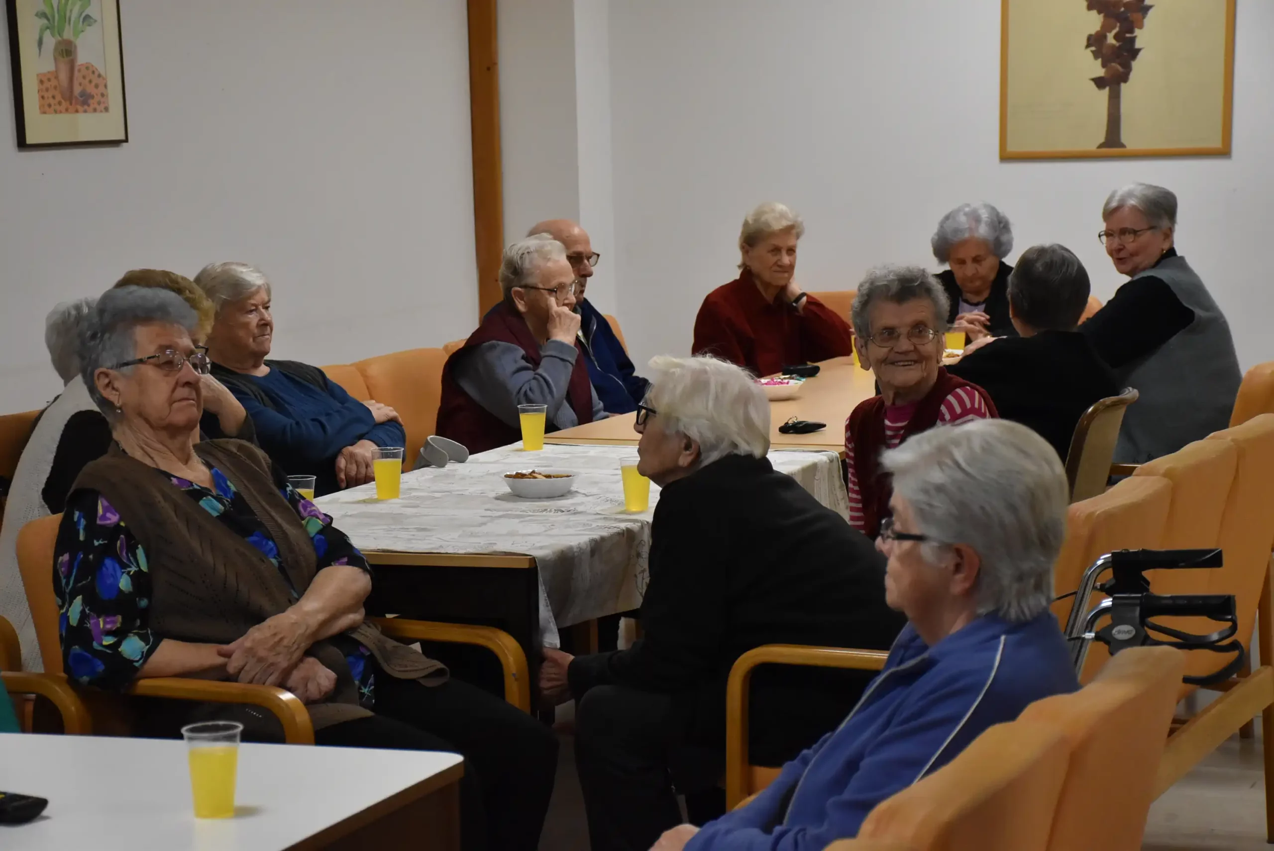 umirovljenici – dom za starije i nemoćne Čakovec (2)