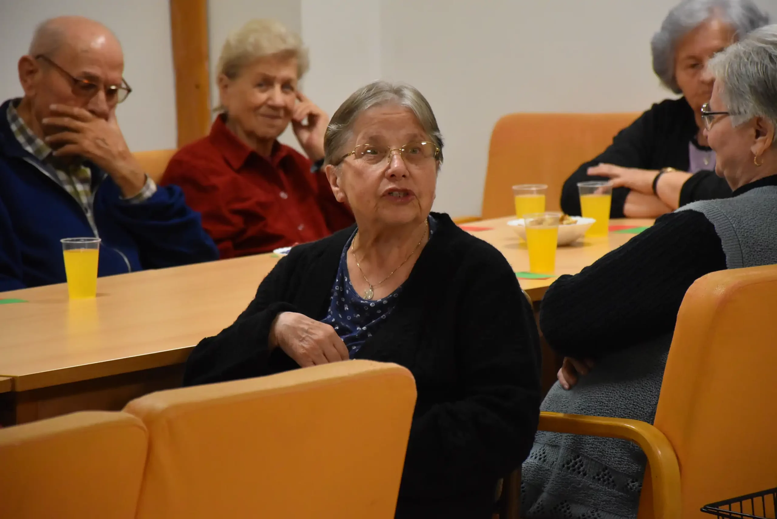 umirovljenici – dom za starije i nemoćne Čakovec (24)