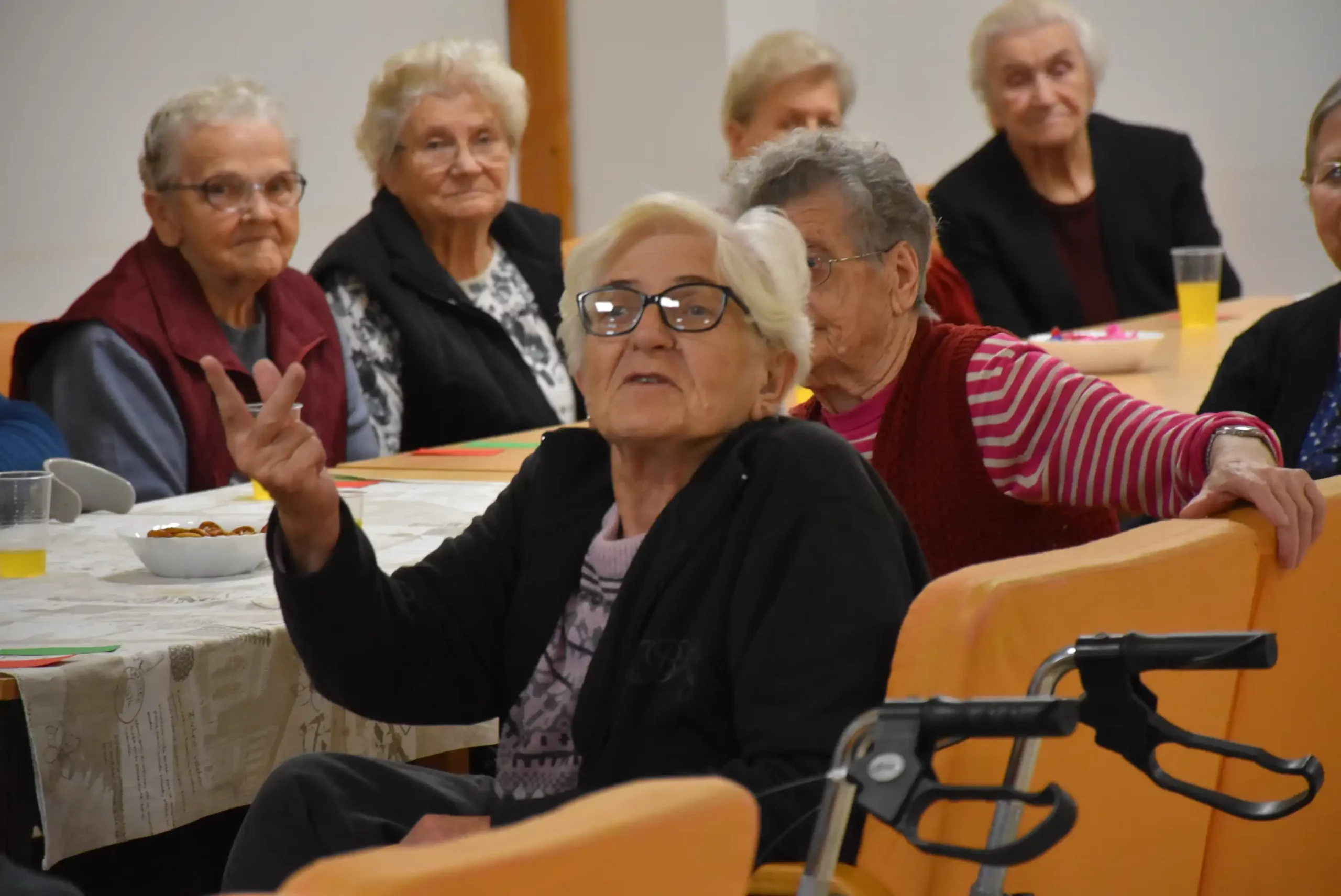 umirovljenici – dom za starije i nemoćne Čakovec (27)