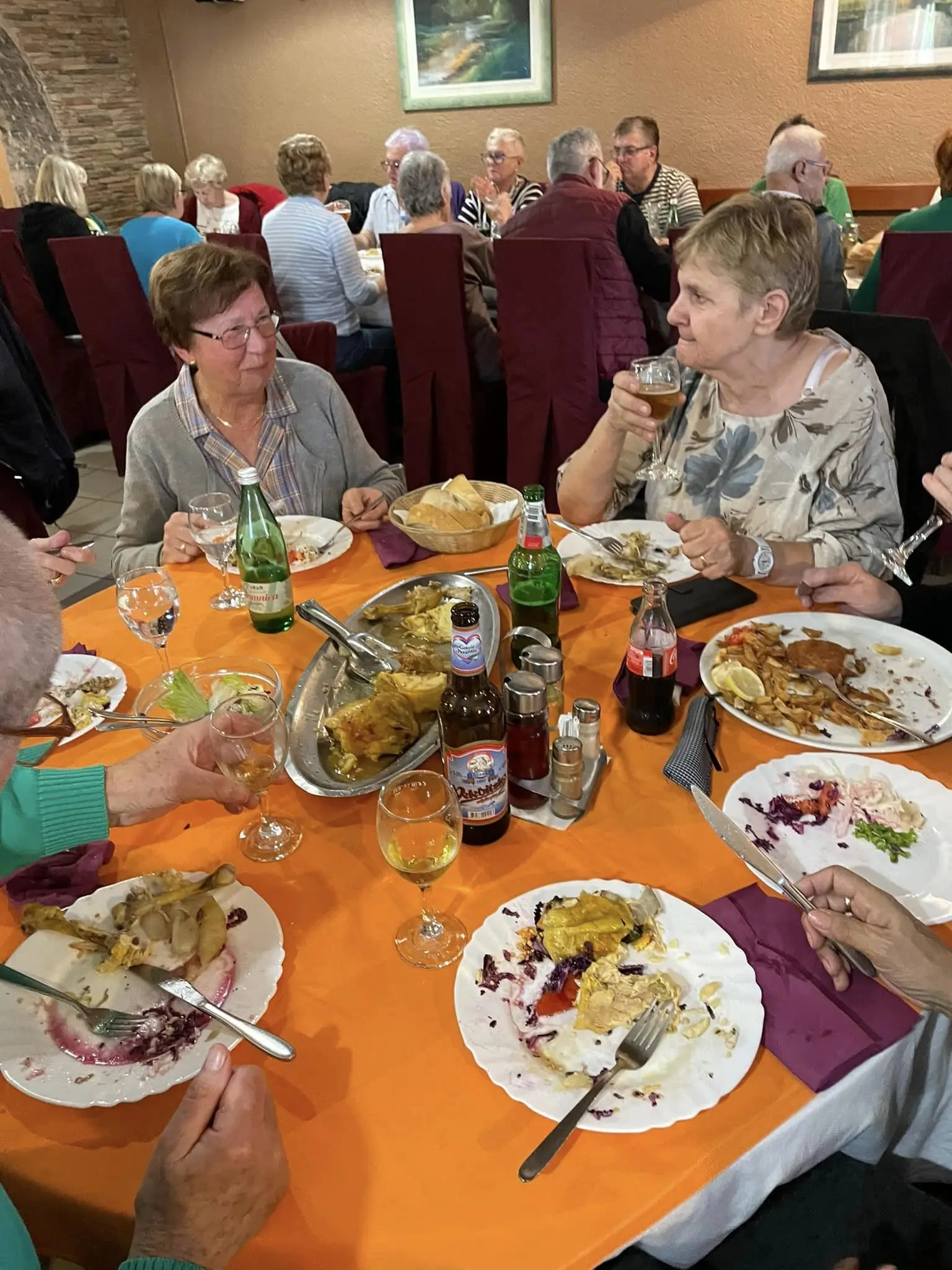 umirovljenici grada čakovca u lici (1) umirovljenici grada čakovca u lici (1)