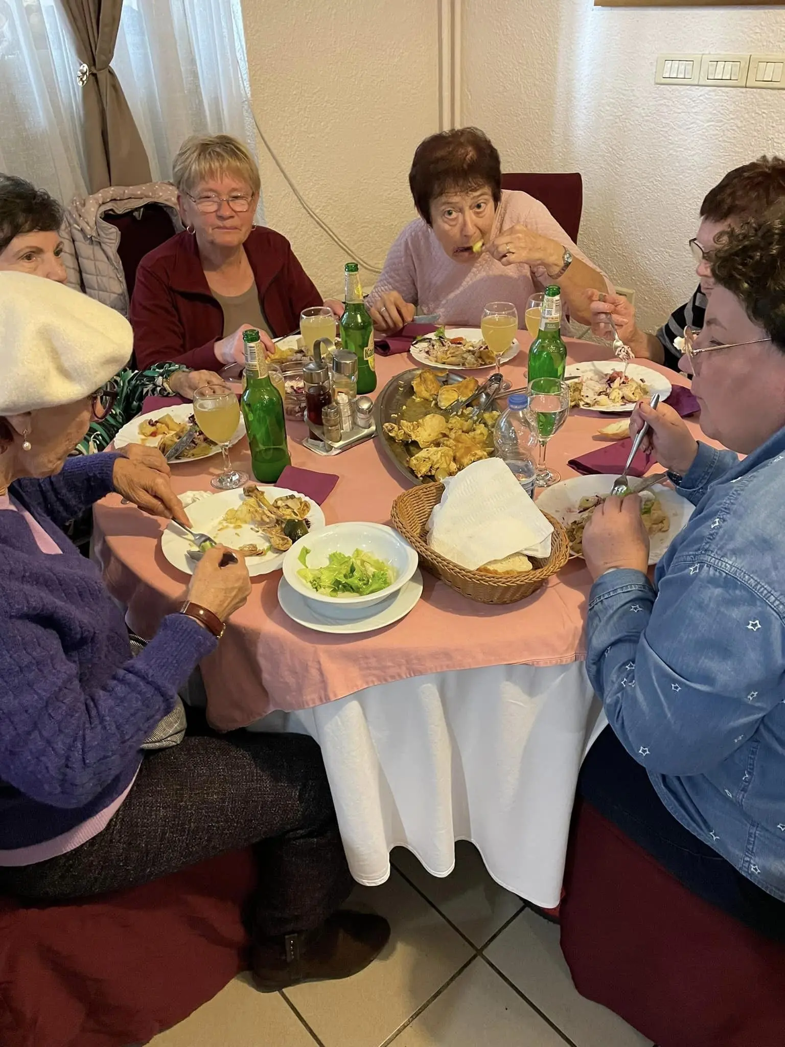 umirovljenici grada čakovca u lici (11) umirovljenici grada čakovca u lici (11)