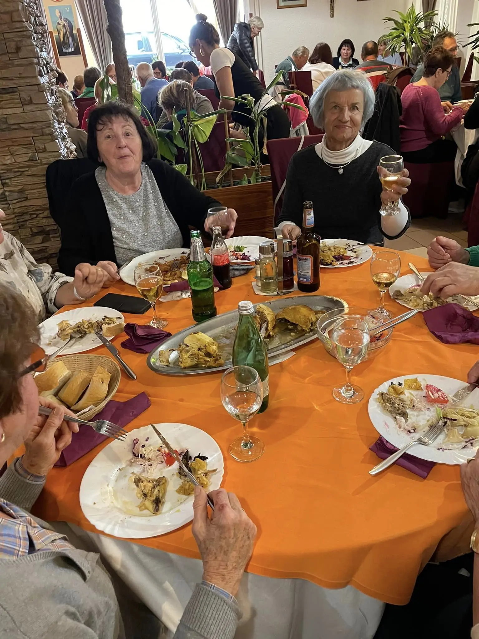 umirovljenici grada čakovca u lici (20) umirovljenici grada čakovca u lici (20)