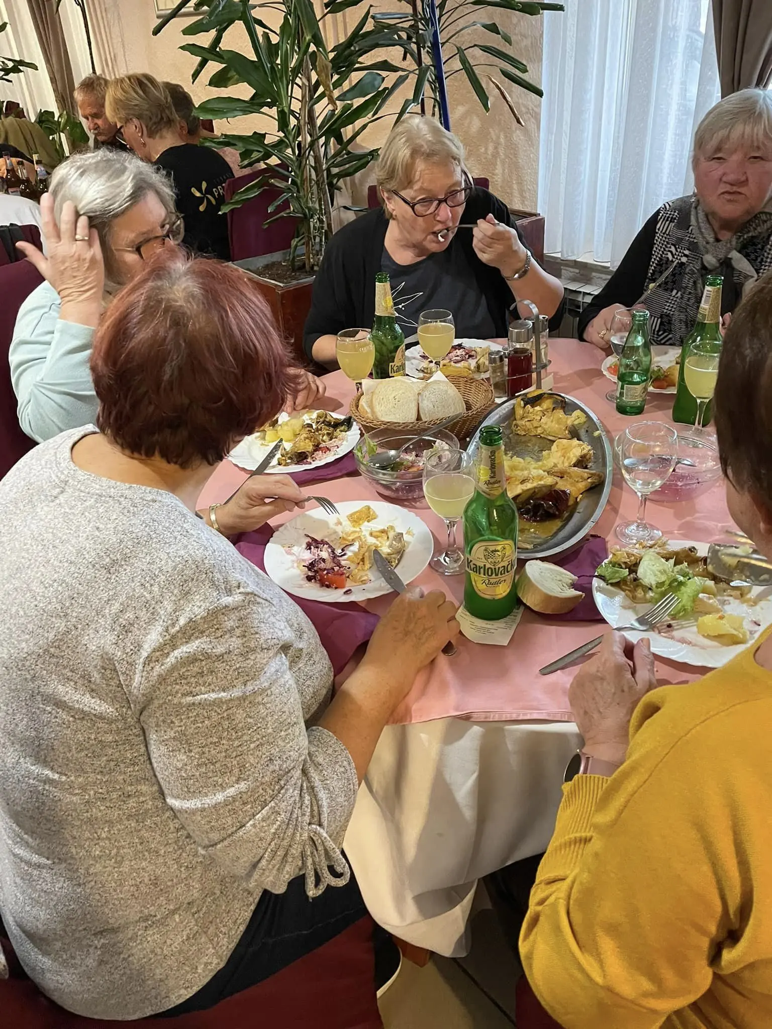 umirovljenici grada čakovca u lici (21) umirovljenici grada čakovca u lici (21)