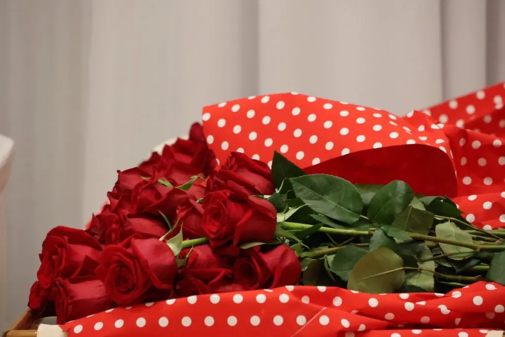 umirovljenici,proslava 50. i 60. godina braka (35)