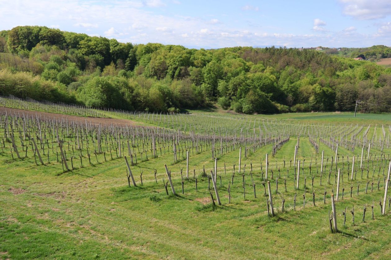 urbanovo predstavljanje, 2026 (16)