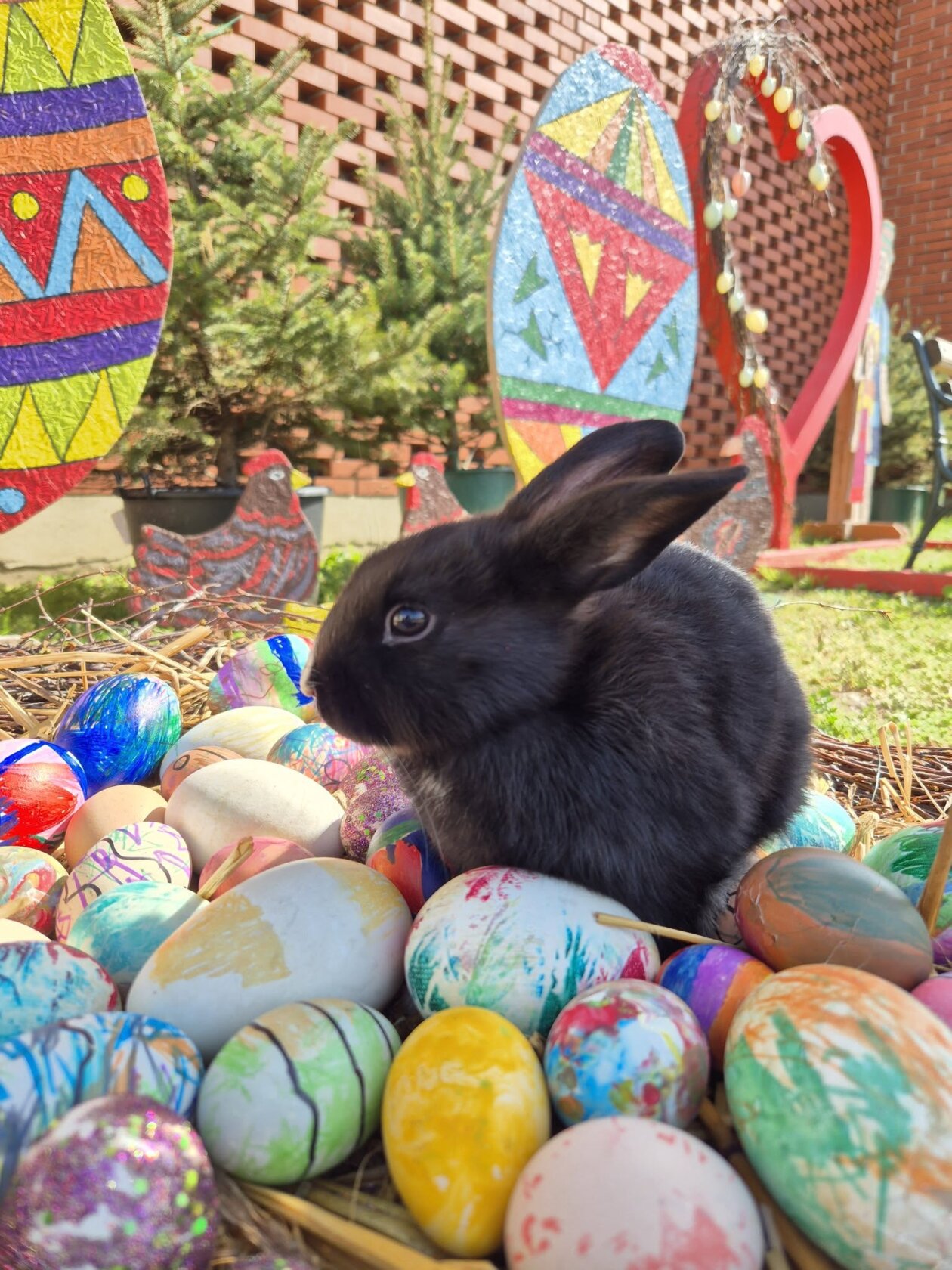 uskrsno druženje nedelišće (11)