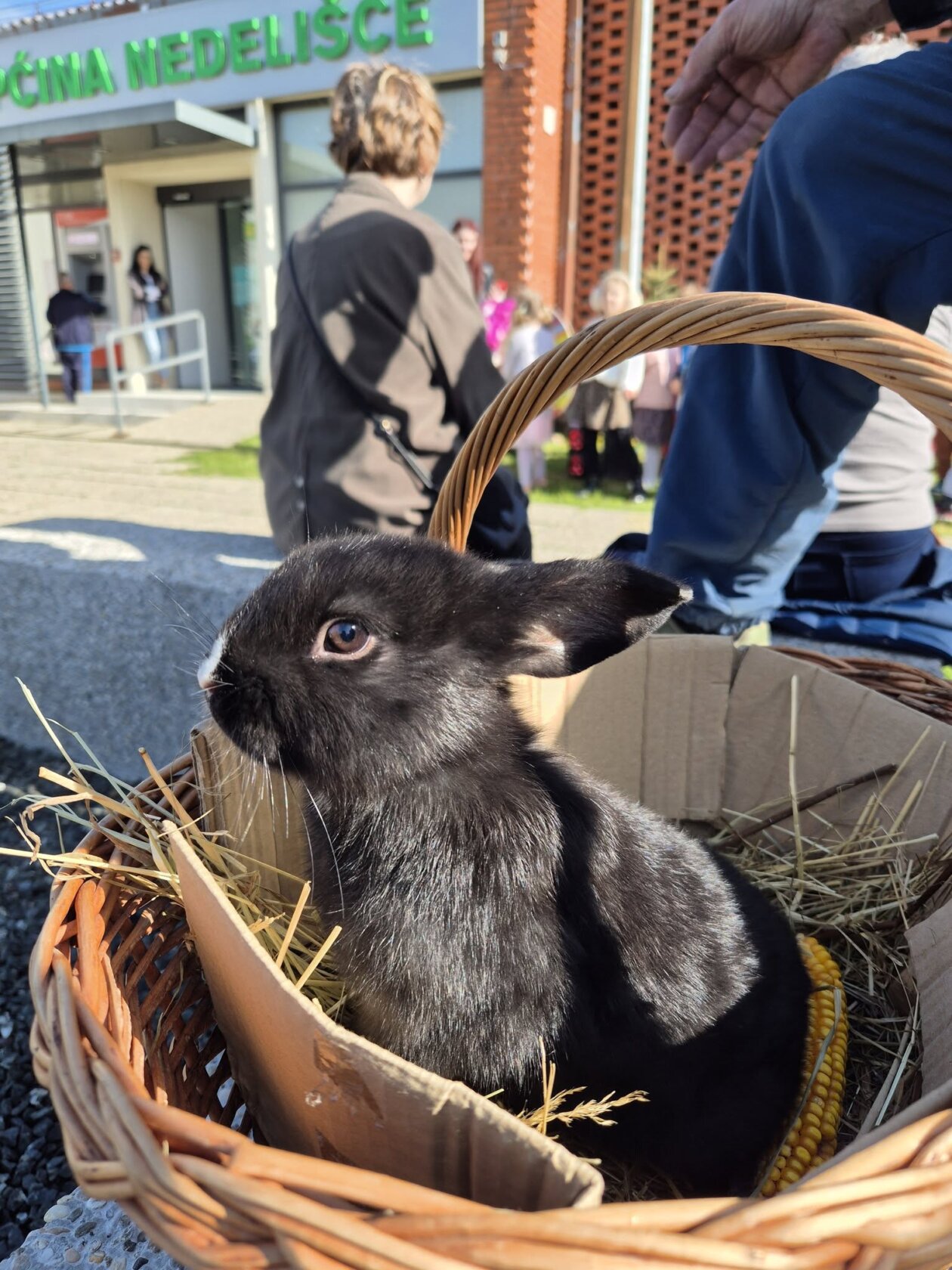 uskrsno druženje nedelišće (2)