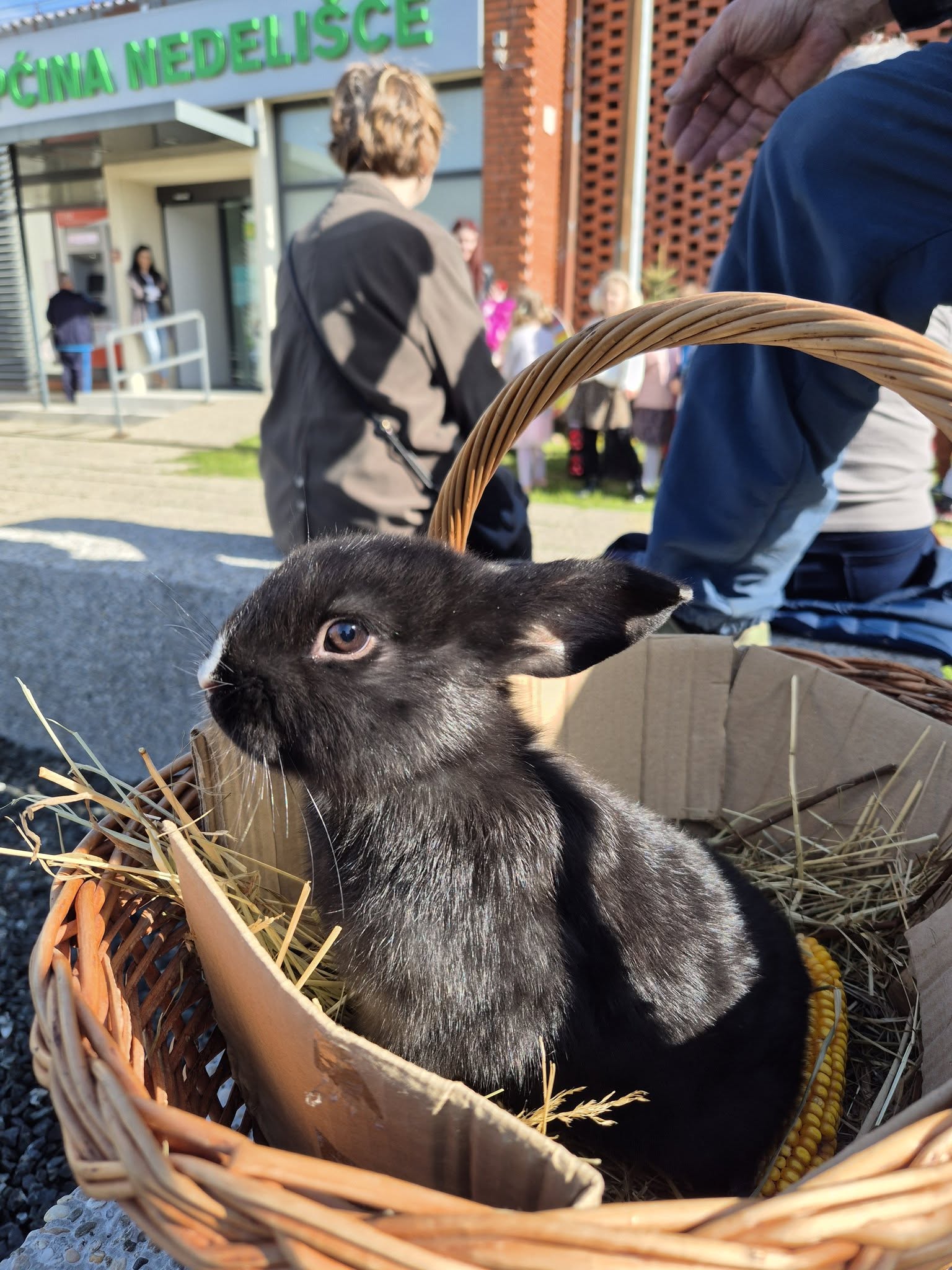 uskrsno druženje nedelišće (2) uskrsno druženje nedelišće (2)