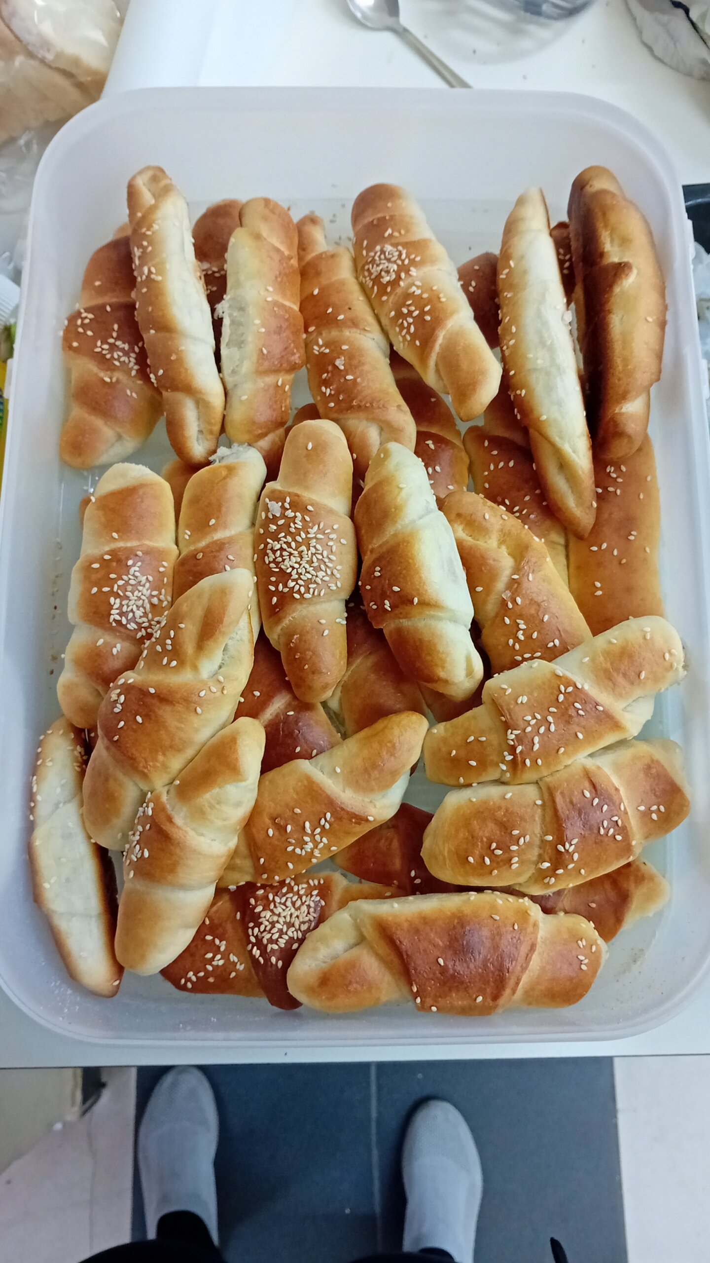 už pušćine klipići, bimep(6)