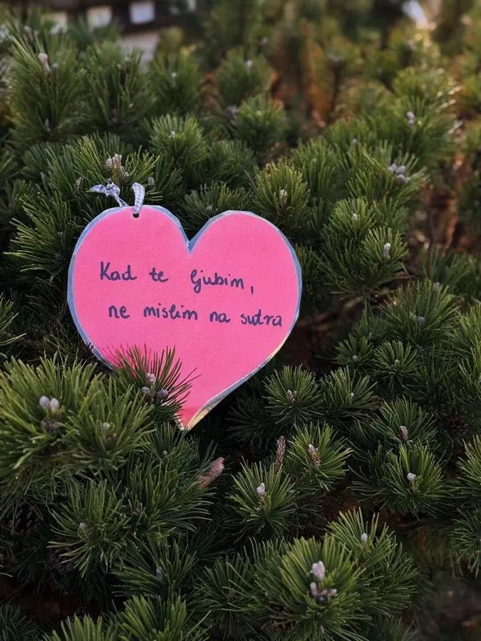 valentinovo donja dubrava (10)