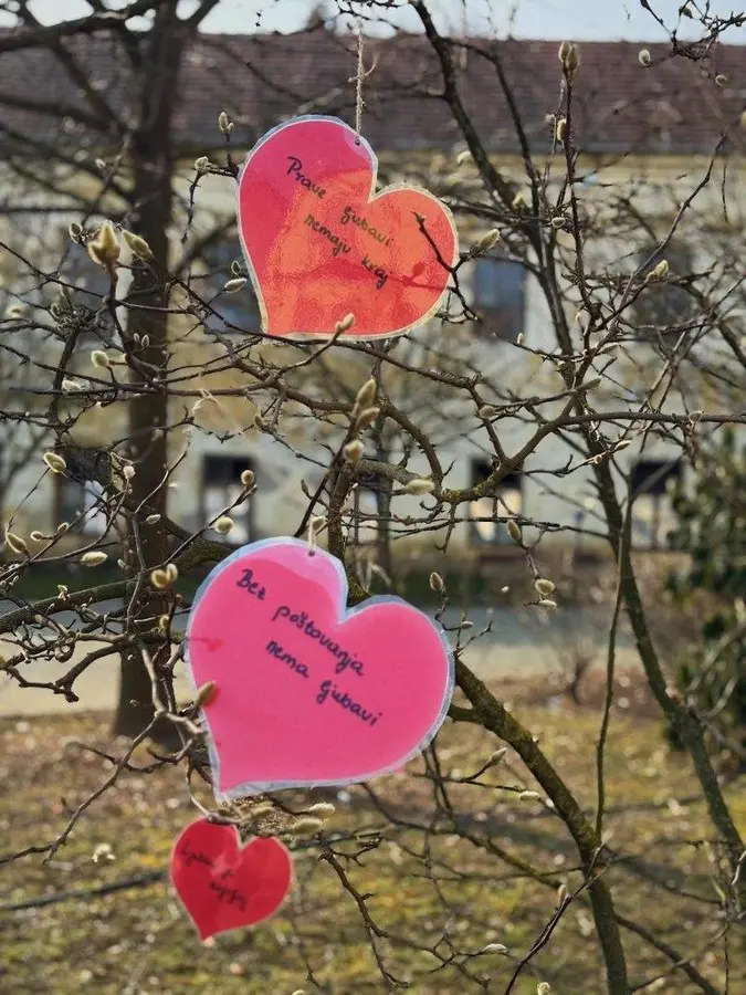 valentinovo donja dubrava (2)