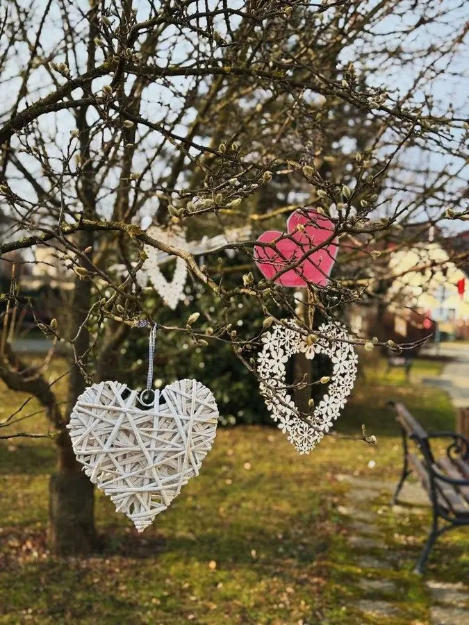 valentinovo donja dubrava (4)