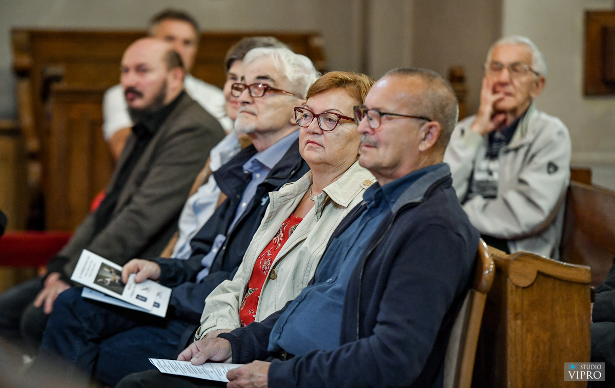 studio VIPRO studio VIPRO