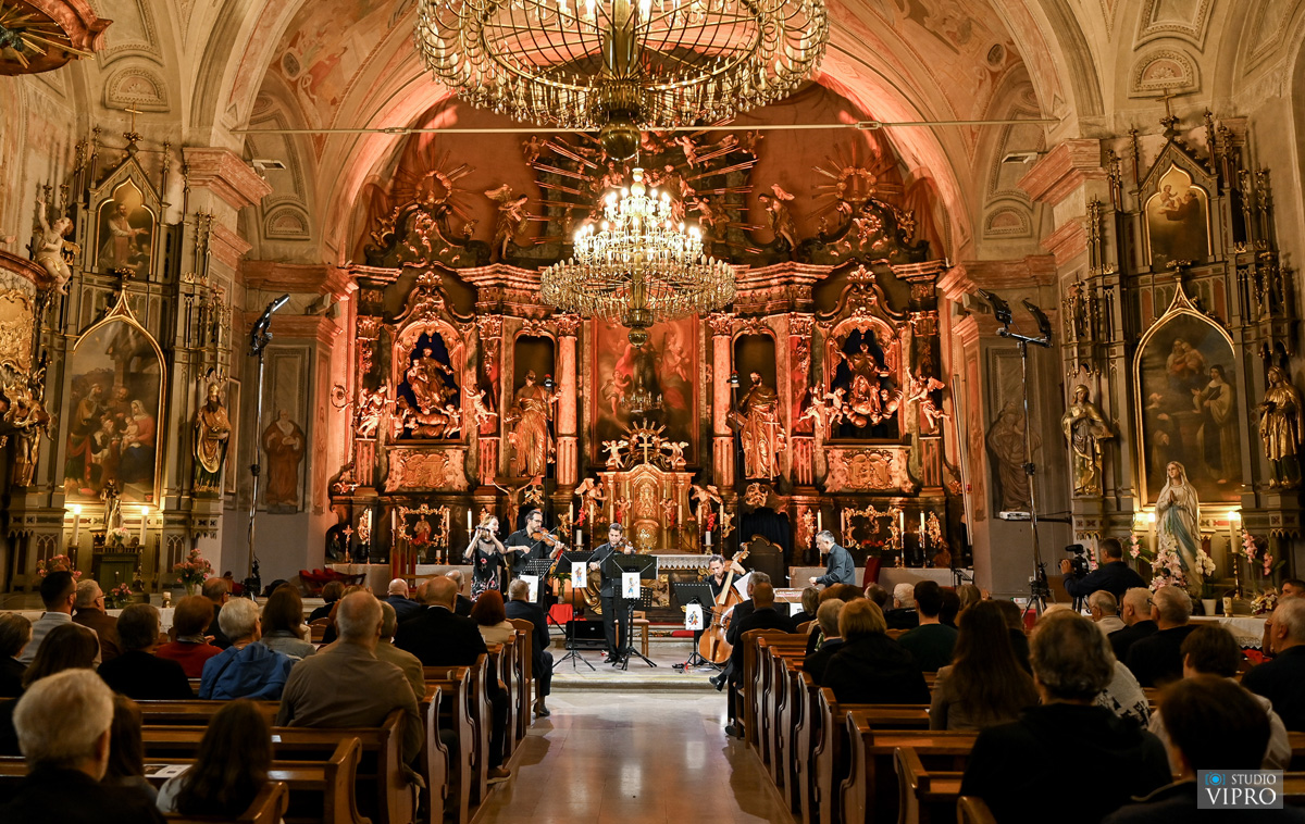 studio VIPRO studio VIPRO