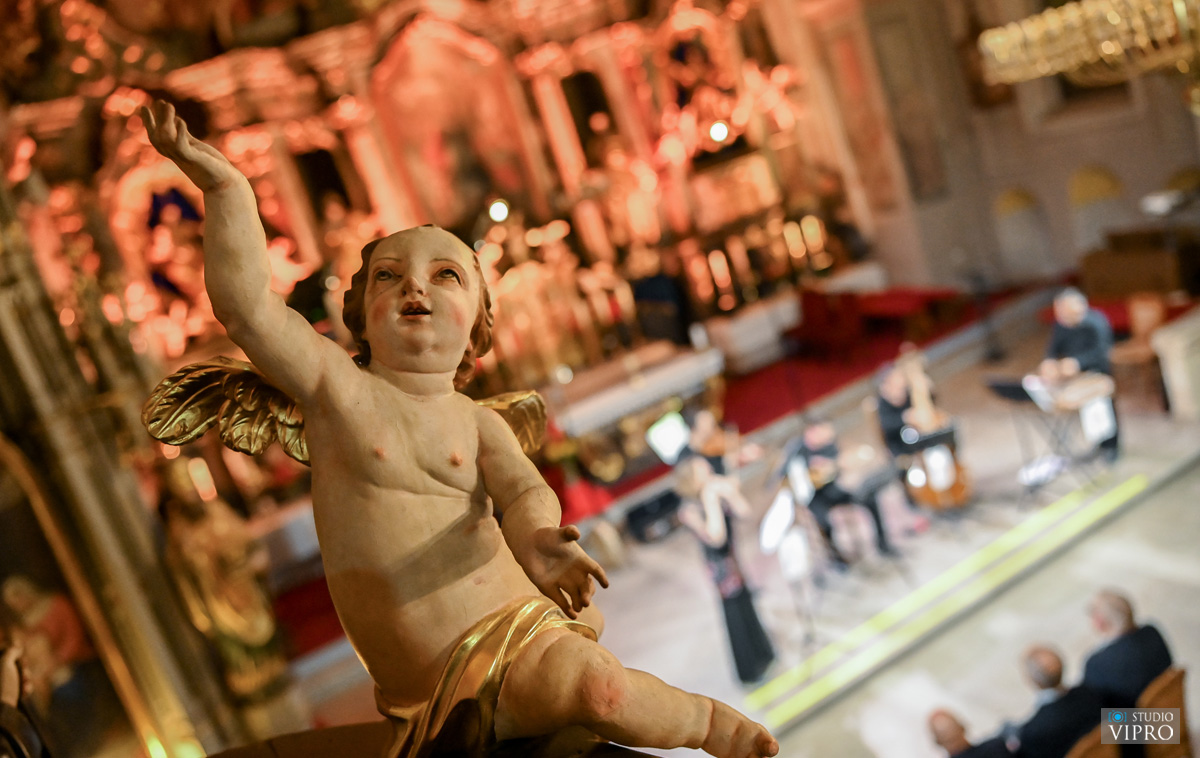 studio VIPRO studio VIPRO