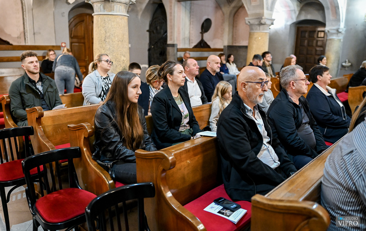 studio VIPRO studio VIPRO