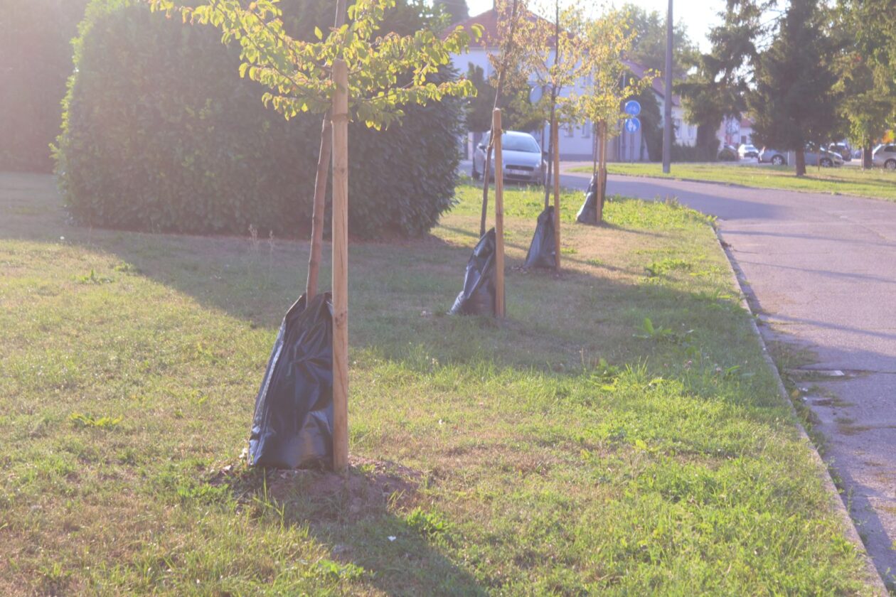 vatrogasci, čakom,dvd čakovec, (1) vatrogasci, čakom,dvd čakovec, (1)