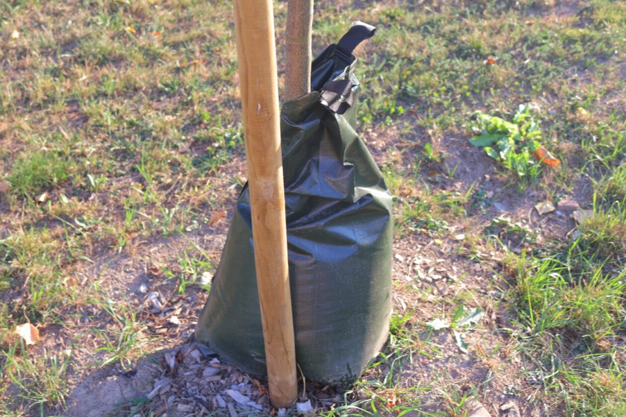 vatrogasci, čakom,dvd čakovec, (19) vatrogasci, čakom,dvd čakovec, (19)