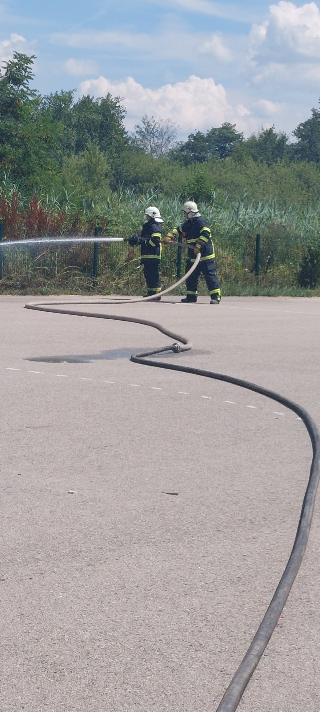 vatrogaskinje dvd podturen (6)