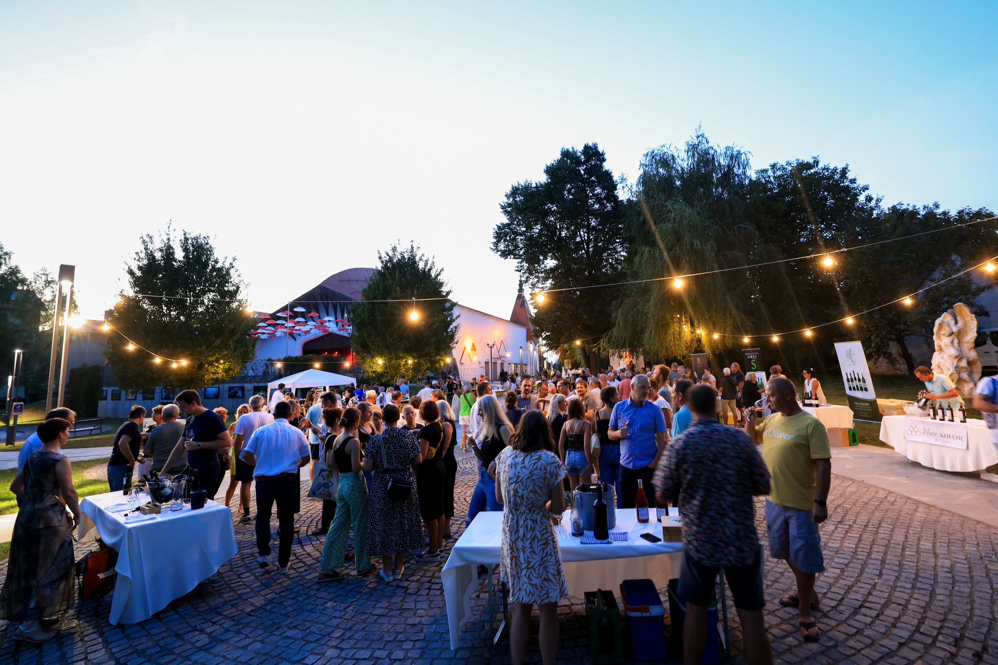 večerlendavskihvin_mediaspeed večerlendavskihvin_mediaspeed