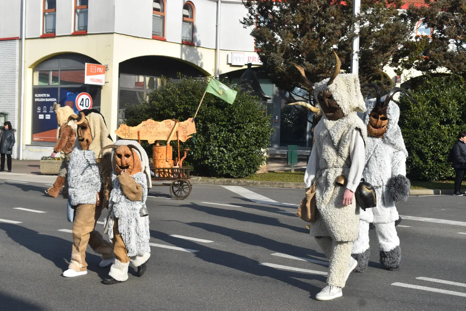 veliki serjojnski fašnik 2025 (60), mursko Središće