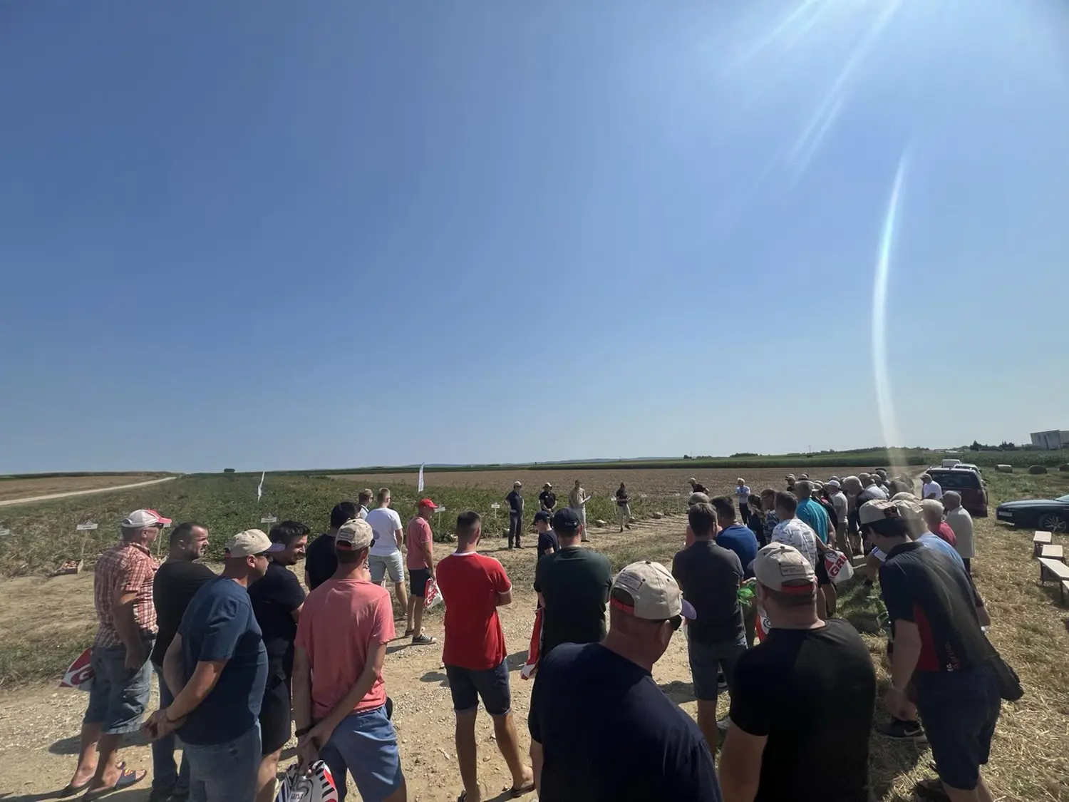 viber_image_2024-07-19_21-49-45-552