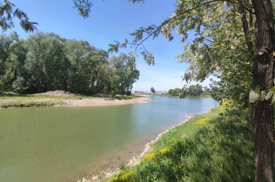 šuderica Mala Subotica