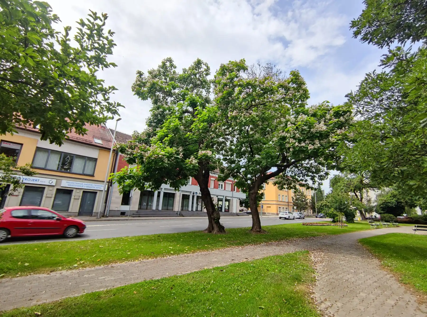 viber_slika_2024-06-10_11-30-26-010 viber_slika_2024-06-10_11-30-26-010