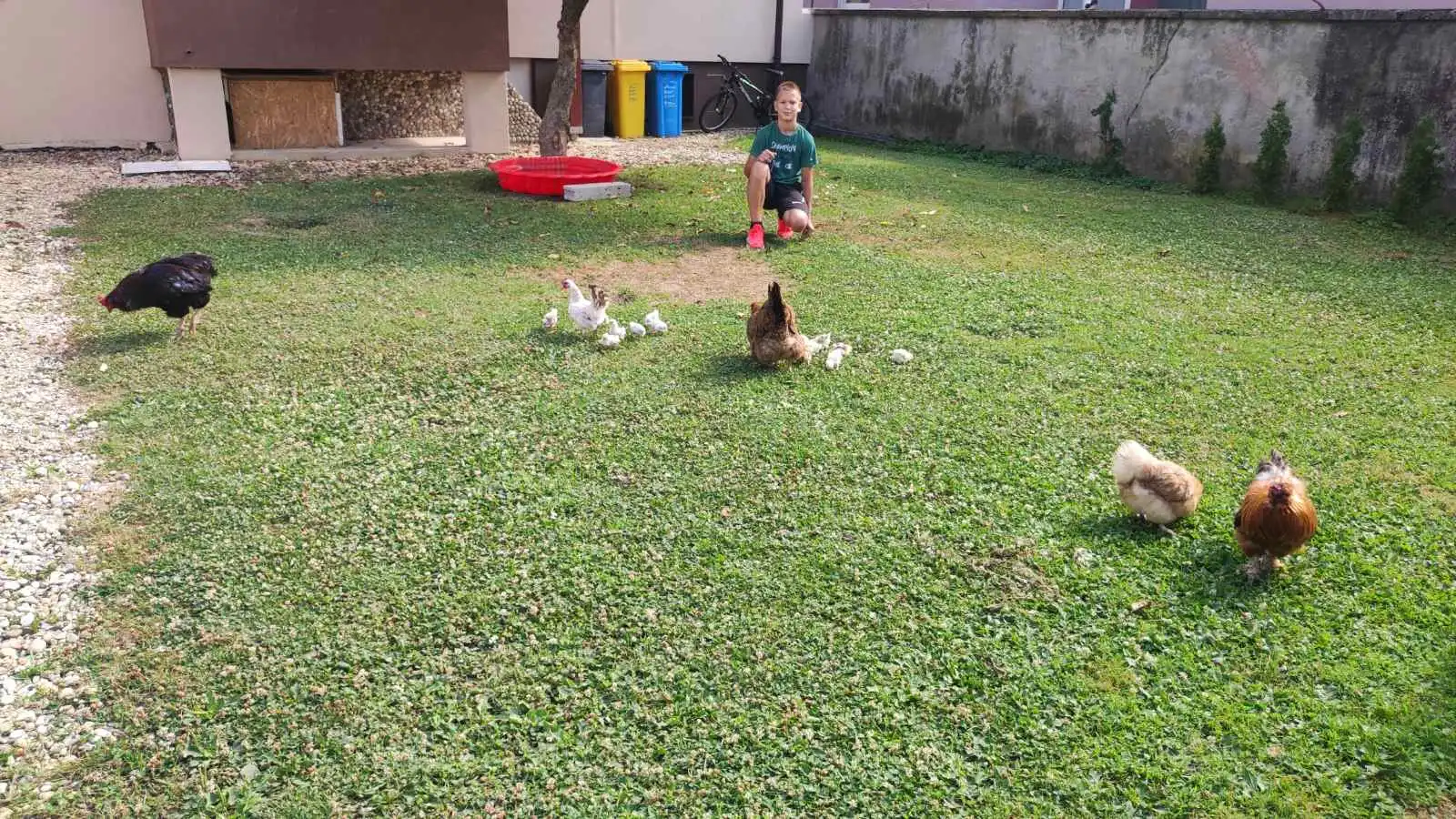 dorian zadravec dorian zadravec