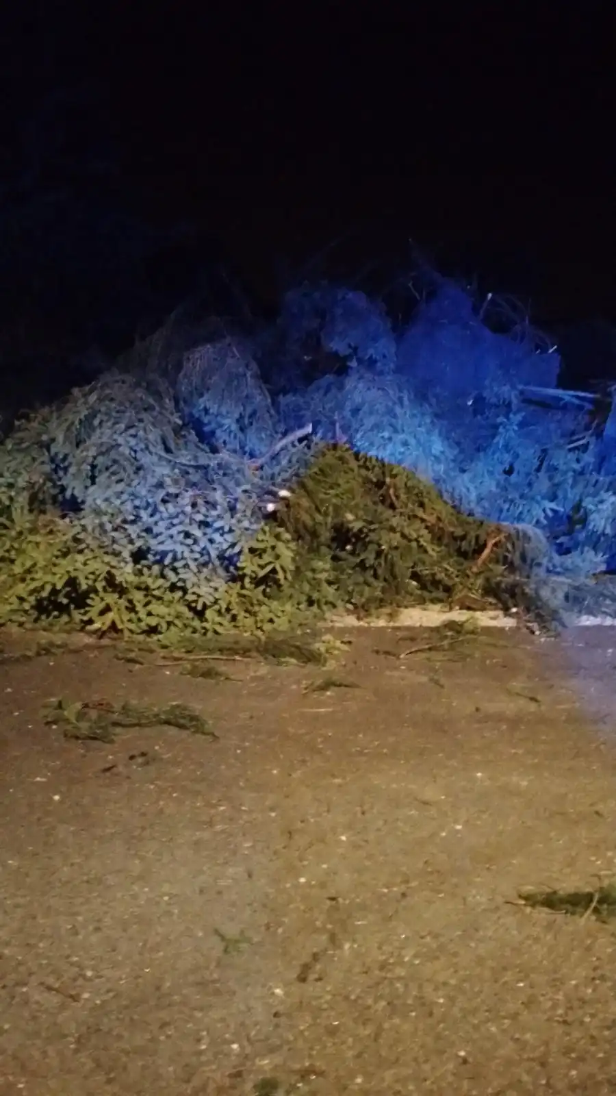 viber_slika_2024-08-02_21-50-39-115