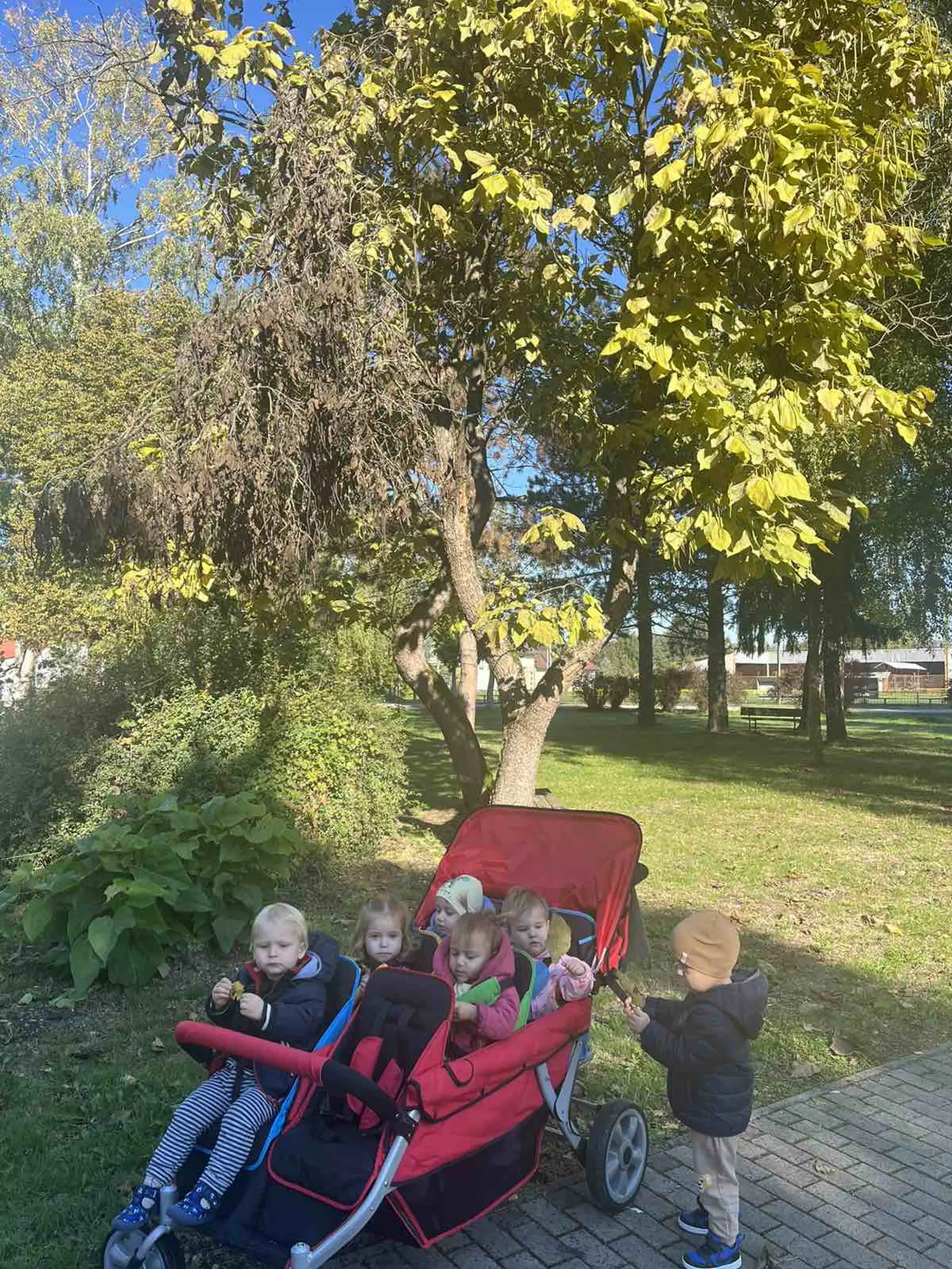 viber_slika_2024-10-07_10-32-02-901