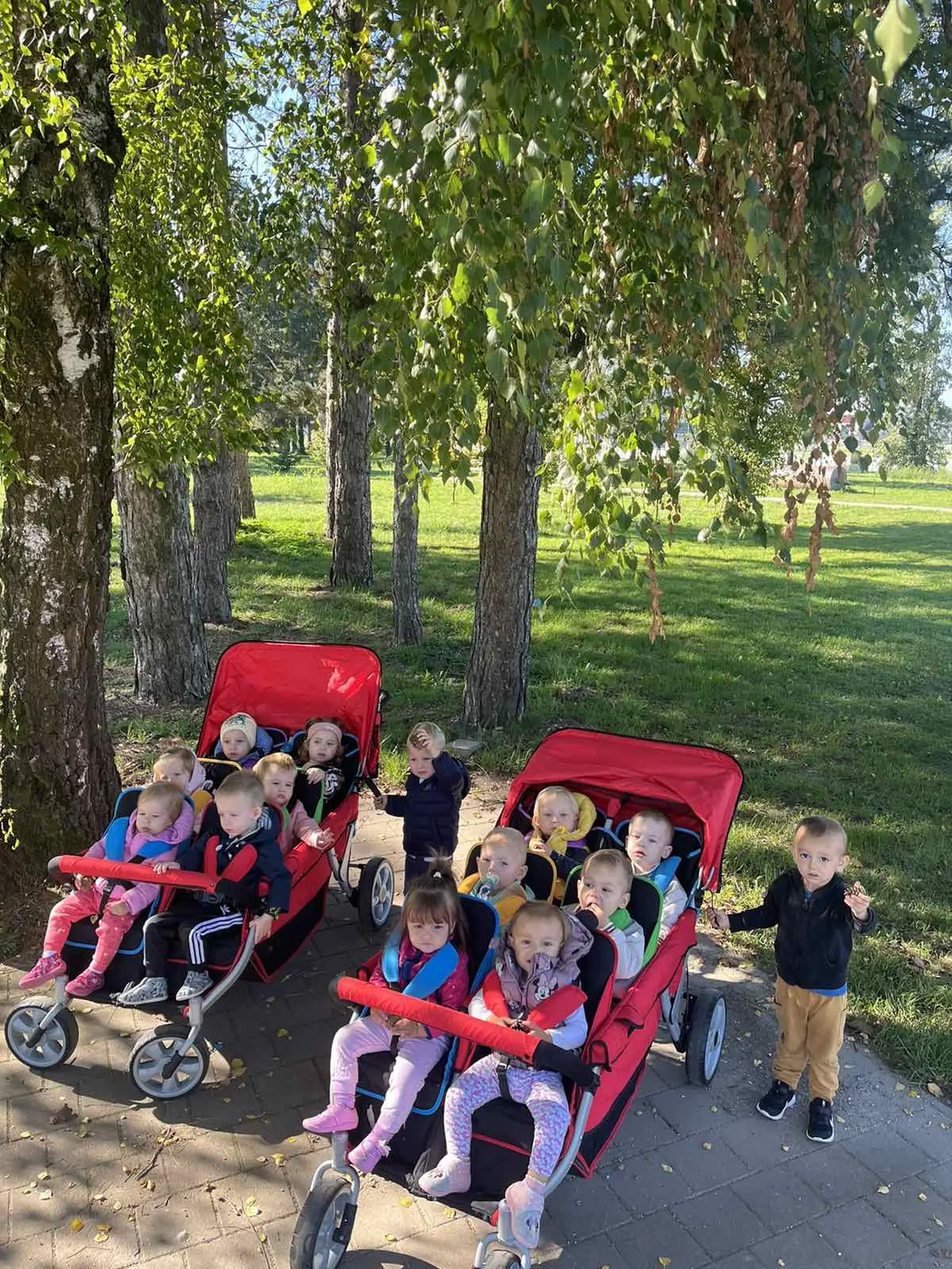 viber_slika_2024-10-07_10-32-29-583