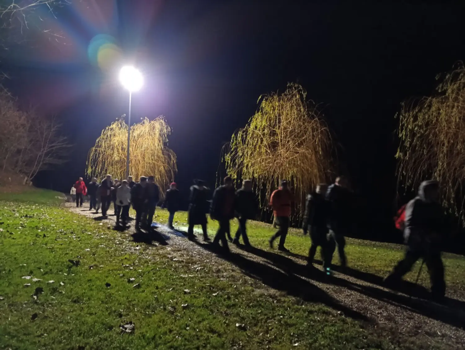 viber_slika_2024-12-23_20-19-55-879 viber_slika_2024-12-23_20-19-55-879