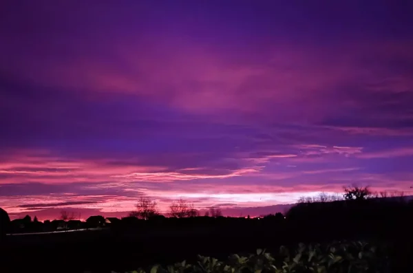 viber_slika_2025-01-09_06-52-36-831