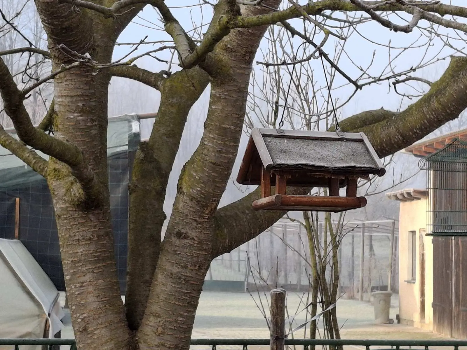 viber_slika_2025-01-16_12-30-05-453