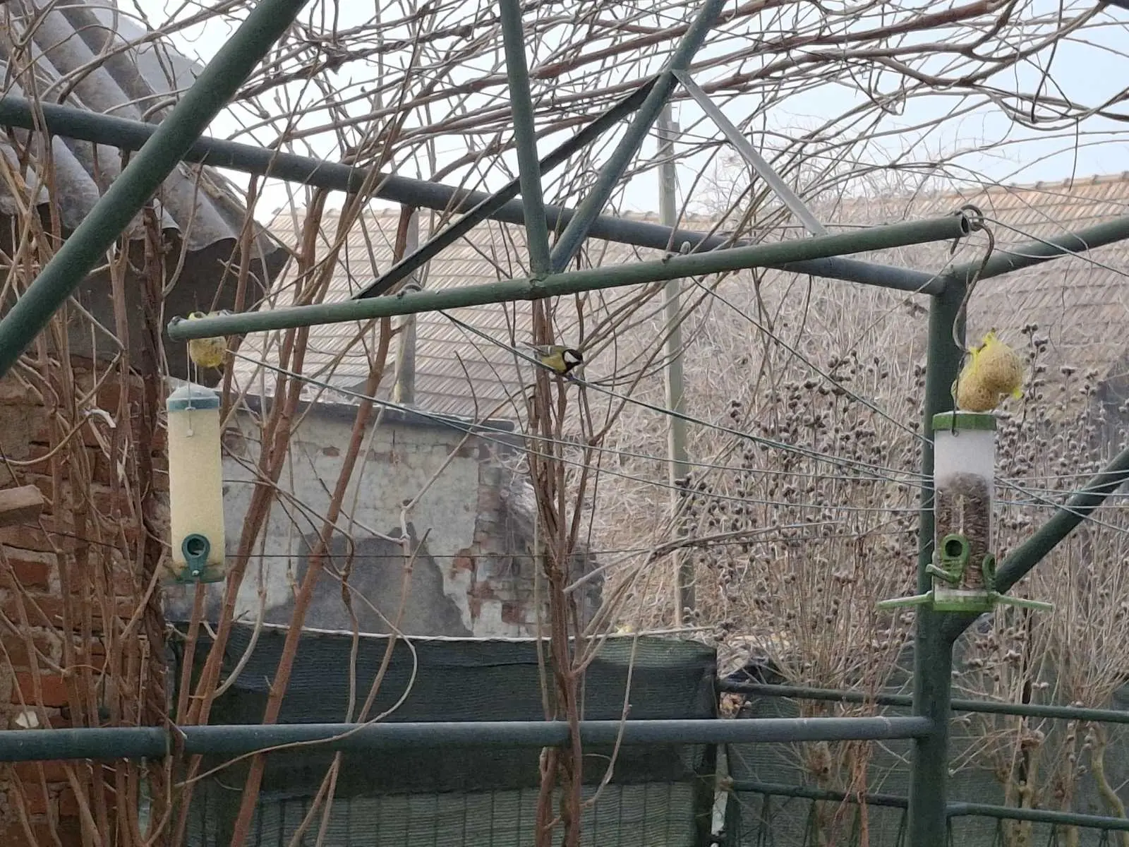 viber_slika_2025-01-16_12-30-05-478