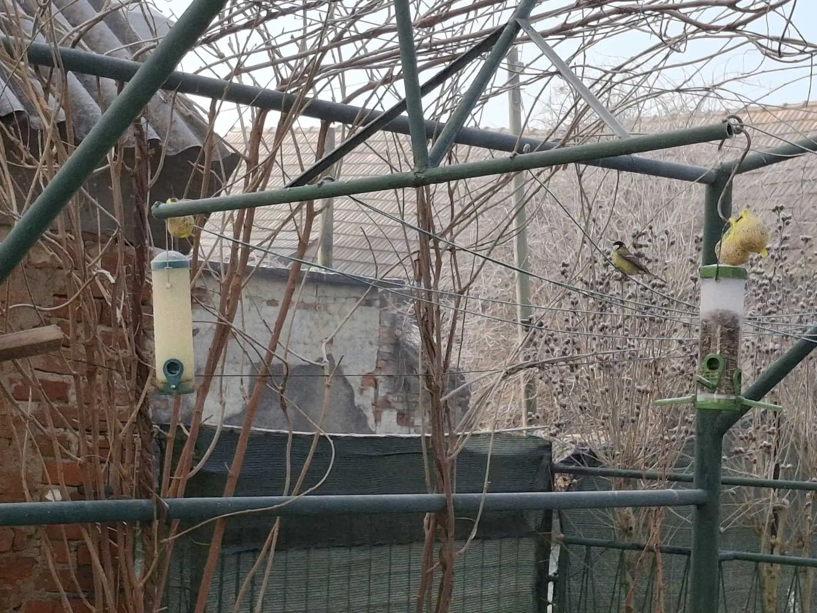 viber_slika_2025-01-16_12-30-05-499