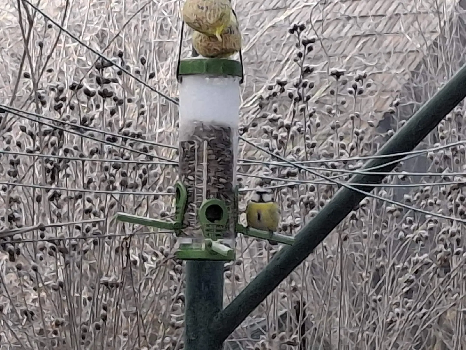 viber_slika_2025-01-16_12-30-05-522